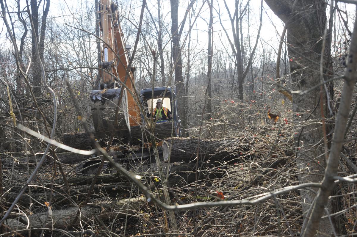 Undaunted by rough terrain within Penn's Woods, Andrew P. Keister, laboratory assistant for diesel equipment technology, clears felled trees and brush at the eventual site of Baja SAE Williamsport.