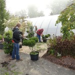 Brittany L. Antolick, of Jersey Shore, and Zachary A. Mueller, both landscape/horticulture technology: plant production emphasis majors, at work in the laboratory. Brittany L. Antolick, of Jersey Shore, and Zachary A. Mueller, both landscape/horticulture technology: plant production emphasis majors, at work in the laboratory.