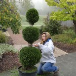 Jessica L. Slawter, a  landscape/horticulture technology: landscape emphasis student from Quakertown, shears a topiary.