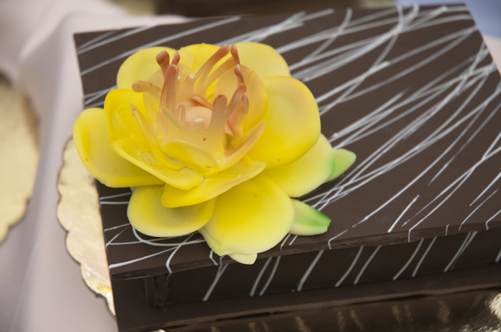 Boxes by Principles of Chocolate Works students add to the display.