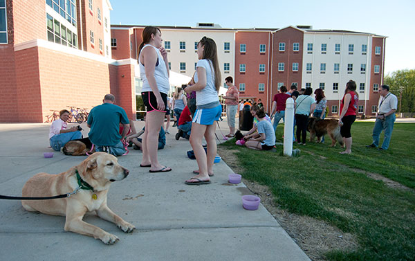 Students and their four-legged friends enjoy a study break in Rose Street Commons.