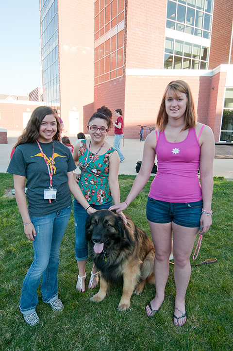 Students get acquainted with a Leonberger named Koda.