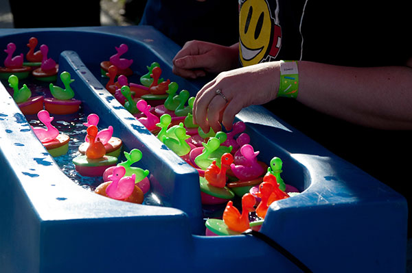 Denizens of the duck pond go for a swim under Friday's blue-sky perfection.