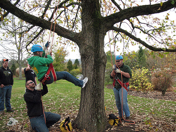 Justin Shelinski, lab assistant for horticulture, straps on a harness for recreational tree-climbers ...