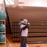 The college mascot applauds its fellow Wildcats. The college mascot applauds its fellow Wildcats.