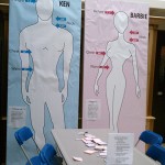 Impossibly proportioned Ken and Barbie help Health Fair attendees find more realistic role models when assessing appearances.