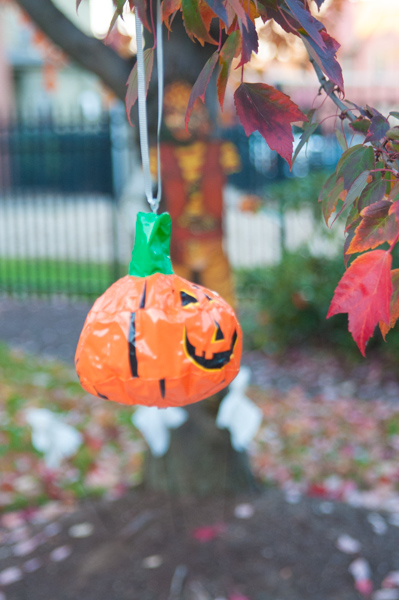 A colorful addition to the usual fall foliage