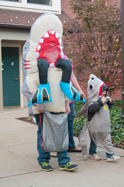 Land sharks cruise for dinner, still hungry after a scuba appetizer.