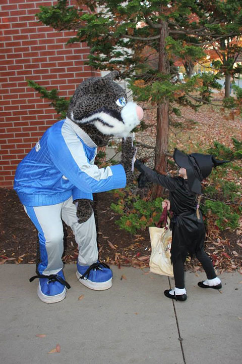 PCToday's favorite 'cat casts a spell.