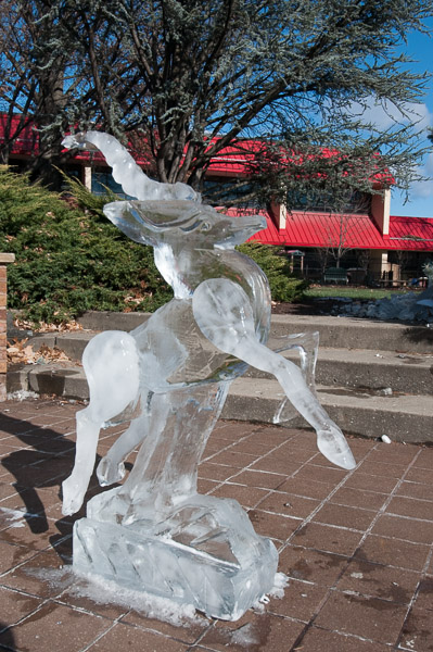 A gazelle seemingly prances through the courtyard.