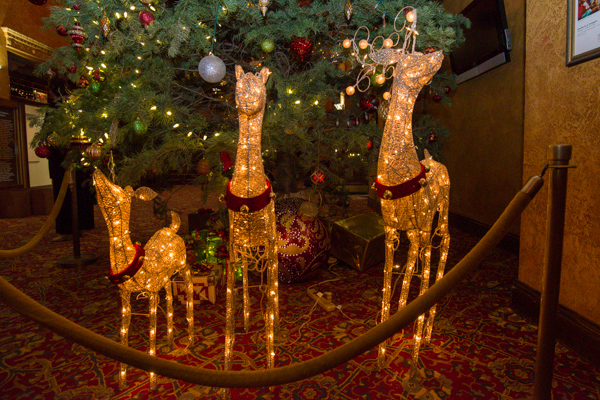 Graduates entering the auditorium walk a red carpet of sorts,