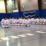 Weekend karate event draws an impressive array of participants ...