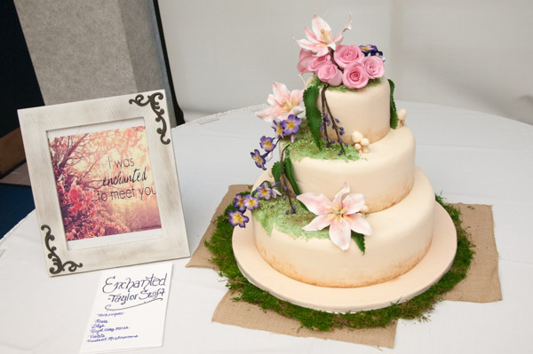 A visual take on Taylor Swift’s “Enchanted” earns a third-place tie for Shannon E. Croney, of Lake Ariel.