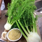 Fennel bulbs and orzo pasta await preparation in this chef's-eye look at the ingredients at hand.