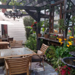 Grapes wind their way along a pergola.