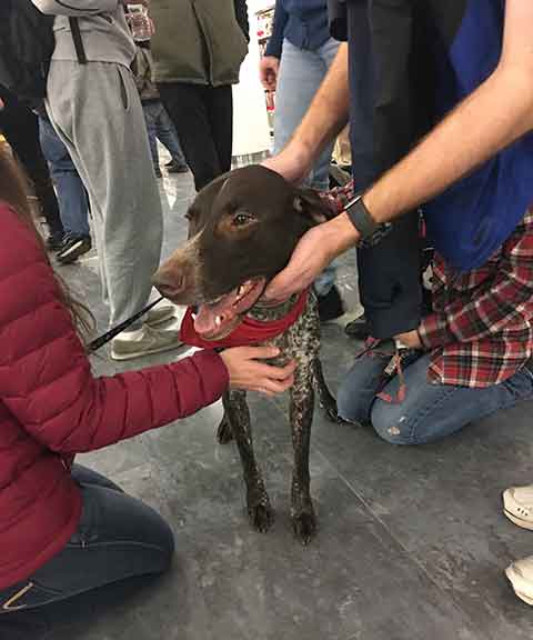 Penn College's hands-on philosophy proves beneficial in a canine study group.