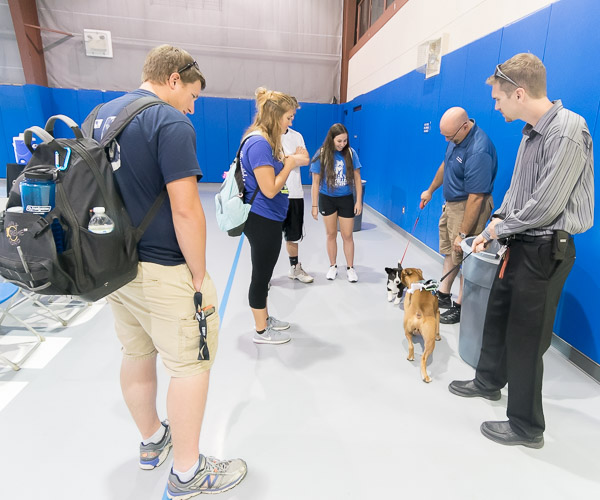 Students and employees find common ground at the eighth annual