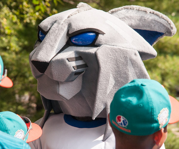 The latest rendition of the Wildcat mascot makes its debut for the VIP audience.