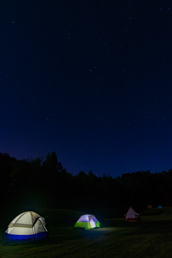 A dotting of stars – Mother Nature's navigational tool – illuminates the sky, tucked away from the artificial light that often obstructs the view.