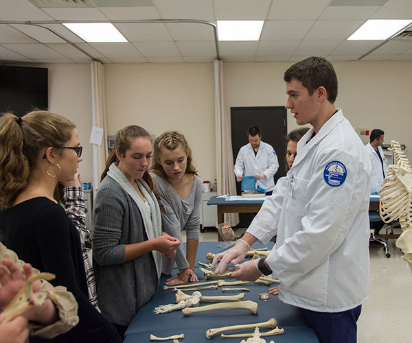 In the Physician Assistant Center, Penn College student Dylan C. Griffin and his classmates have hands-on props to test high-schoolers’ anatomy knowledge and teach them about the role of PAs in health care.