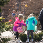 With energy and focus, the search is afoot.