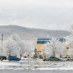 ... and clung like cotton candy to trees outside the Bush Campus Center.