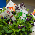 Money may not grow on trees, but gift cards can sprout from greenery!