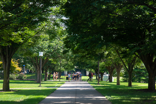 The campus mall bustles with new energy ... and bursts with extreme green as a result of recent rains.