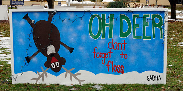 Student American Dental Hygienists' Association