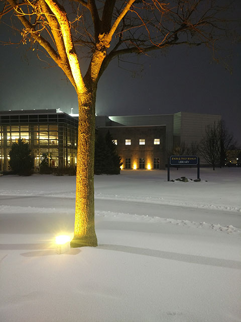 Yellow ribbons, tied to campus trees in advance of Tuesday's storm, offer a beacon of hope.
