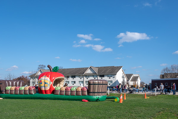 Bobbing for apples, bouncy-style