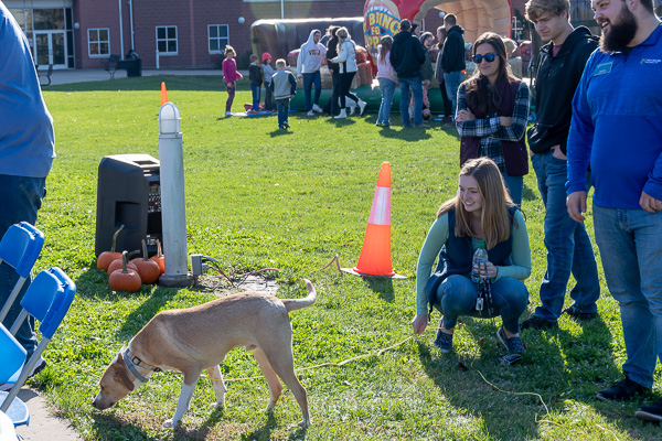 The dog days of autumn? Alaina M. Murren, a Resident Assistant and dental hygiene student from Aspers, tries to get the attention of Dexter, owned by Residence Life's Cathy E. Gamez (behind her).