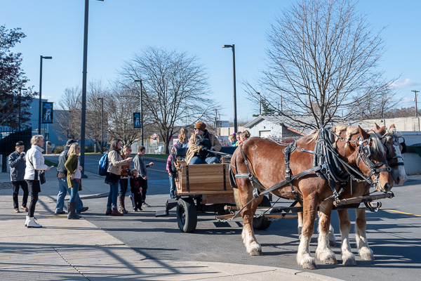The line forms for a horse-drawn excursion ...