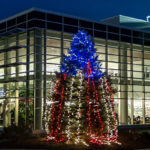 Stars and stripes shine from the Veterans Tree outside Madigan Library.