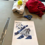 Student Engagement provided all the materials with which to make a dog's day.