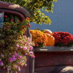 Seasonal color overtakes the College Avenue Labs water feature.
