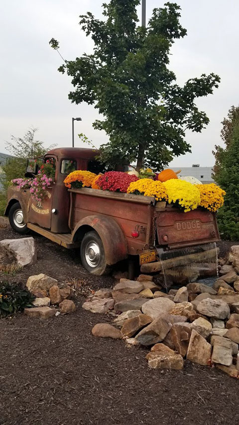 The automotive-themed water feature outside College Avenue Labs sports a bedful of colorful mums.