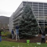 Hammer, Caputo, Placencia, Beaver and Jones (from left) collaboratively conquer the towering task before them.