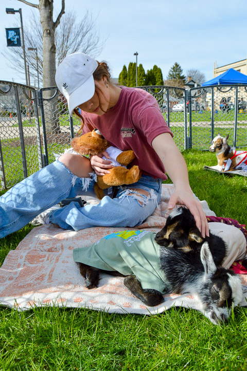 While holding a stuffed lion, Taylor J. Leshock tends to some less sedentary members of the animal kingdom. Leshock is a graphic design student from Shamokin.