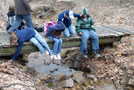Fresh from learning about frogs and such, schoolchildren scan a forest creek for signs of life