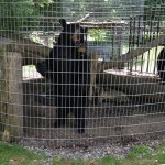 That's close enough, thanks