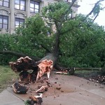 Wind-toppled tree awaits removal outside Klump Academic Center early Thursday evening.