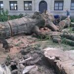 A typically efficient General Services crew makes quick work of cleanup.