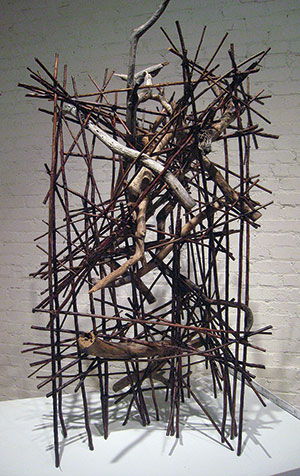 Marcia Wolfson Ray, “Inclusion,” 2011, dog fennel, pine wood, 55 inches, by 40 inches, by 40 inches