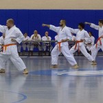 Martial-arts students go before the judges ...