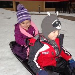 "Birds" of a feather go sledding together.