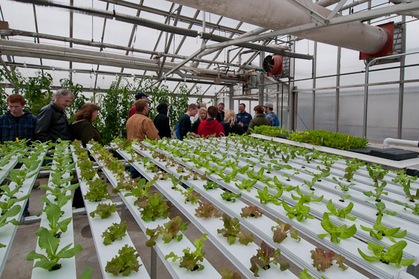 The Hydroculture Garden in the Schneebeli Earth Science Center greenhouses drew many interested onlookers, seeking slivers of spring. This crowd was escorted by Michael Dincher, assistant professor of horticulture, and Presidential Student Ambassador Jeremy L. Thorne, horticulture/horticulture technology: landscape emphasis, from Sugarloaf. 