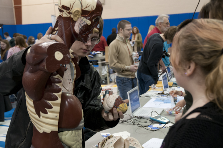 A Williamsport Area High School student helps a visitor identify and place the heart.