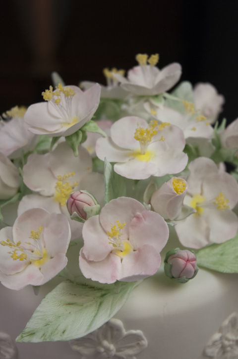 Dainty spring blossoms burst on a cake-topper