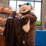 With daydreams of crossing the stage to claim a Penn College diploma, the Wildcat mascot sizes up a commencement cap and gown.